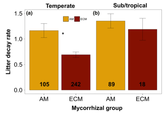 文献解读|在温带而非热带森林中，不同菌根群的凋落叶腐烂率不同
